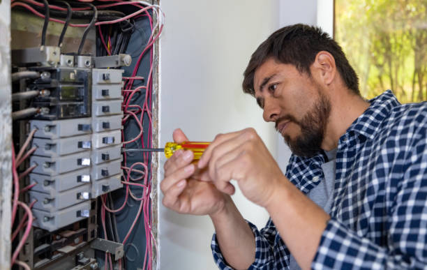 Best Ceiling Fan Installation Electrician  in Pine, AZ